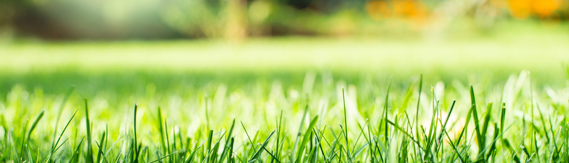 Council Oxford Banner